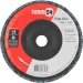 Flap Disc Reto 7 G 60 (C.Plast) Nove 54