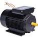 Motor Elétrico 3Cv 4 Pólos Fechado 4pip44 Lynus - 220V