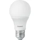 Lâmpada de LED Branca E27 6500K 9W Bivolt Avant