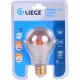 Lâmpada de LED Filamento Vintage Âmbar A60 E27 4W Biv Liege