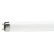 Lâmpada Fluorescente T8 30w Philips 