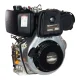 Motor a Diesel 498cc 13.5 Hp TDE140XP Toyama