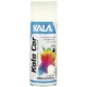 Tinta Spray para Uso Geral Branco Brilhante 350ml Kala