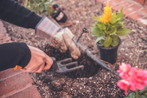 6 ferramentas essenciais para a jardinagem