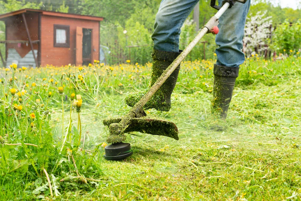 Cortador de grama, aparador e roçadeira: Qual melhor para seu quintal?